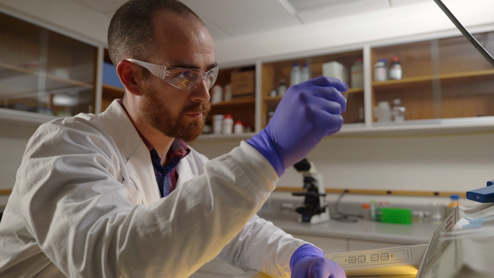 Image shows USU graduate researcher Bailey McFarland inspecting a specimen slide